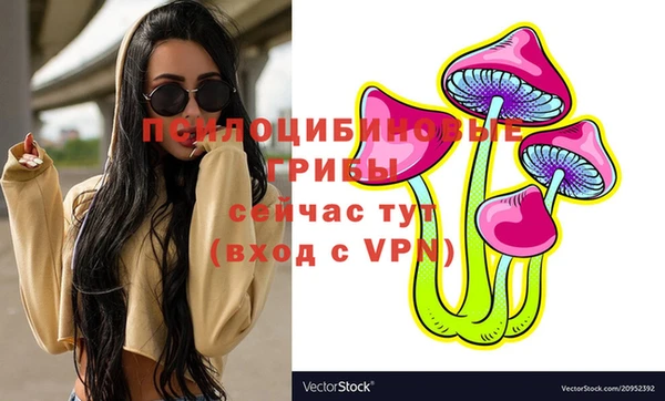 дживик Елизово
