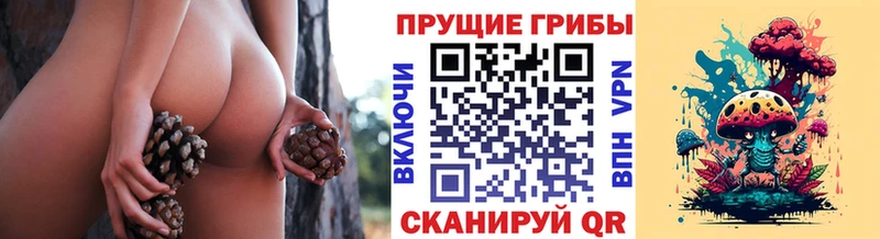 Псилоцибиновые грибы ЛСД  что такое наркотик  Нея 
